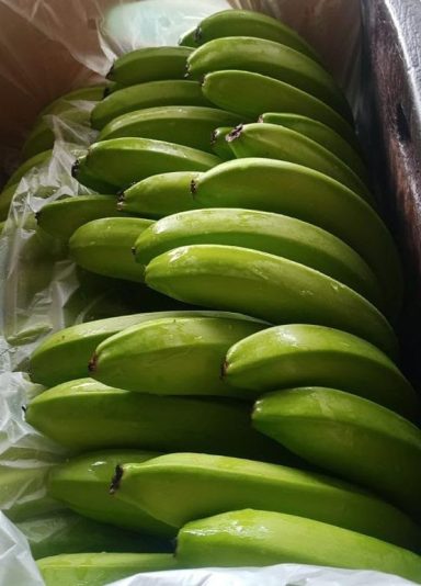 BANANAS CAVENDISH
