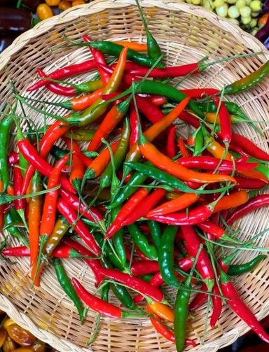 AJI JAMAICA