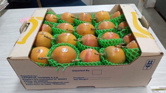 GRANADILLA